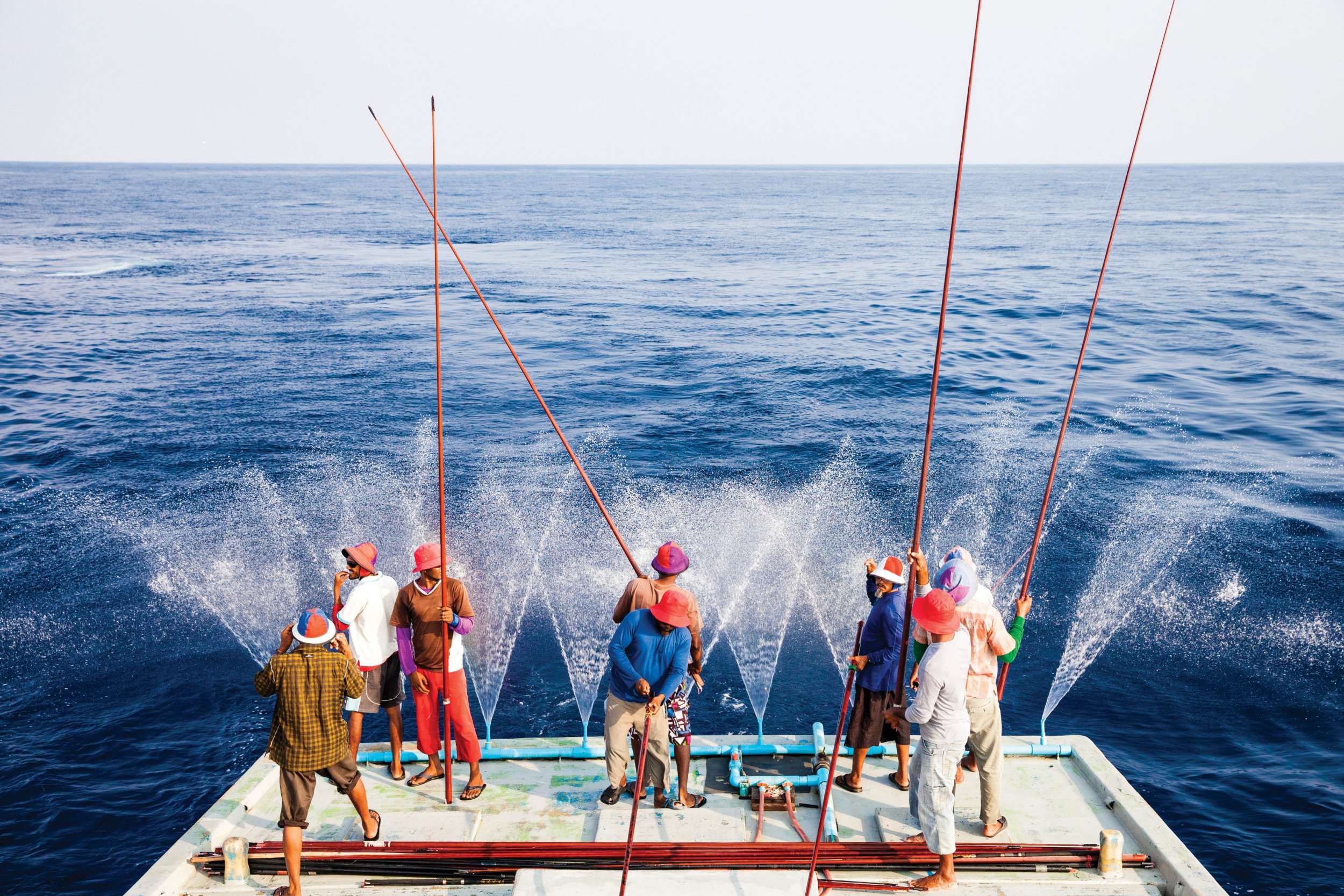一群人坐在船上的水体上：黄鳍金枪鱼已首次获得MSC的认证（照片：Waitrose）